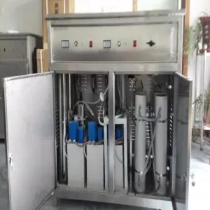 Ozone system