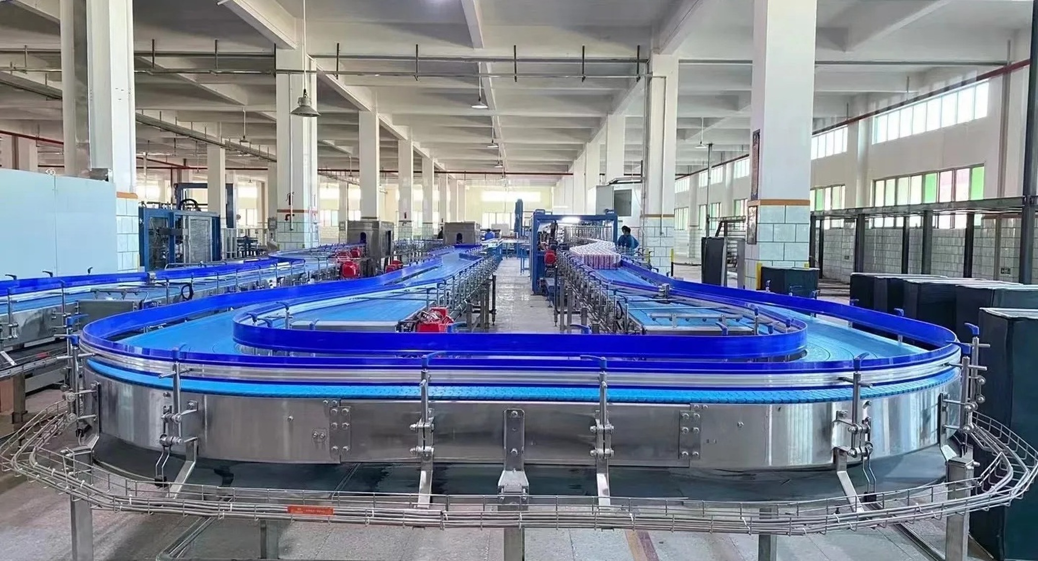 Case / Pack Conveyor
