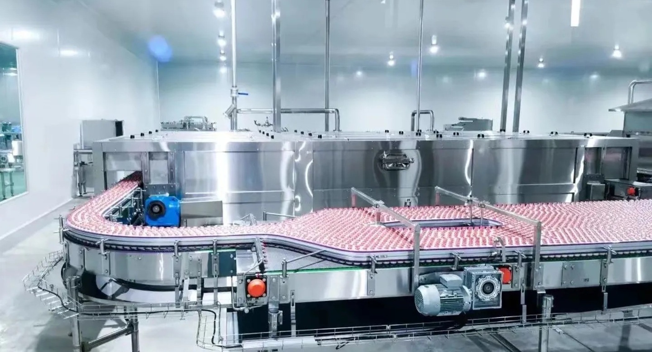 Case / Pack Conveyor